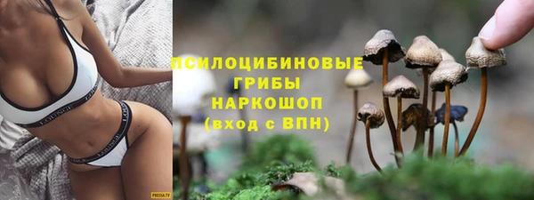 mix Магас